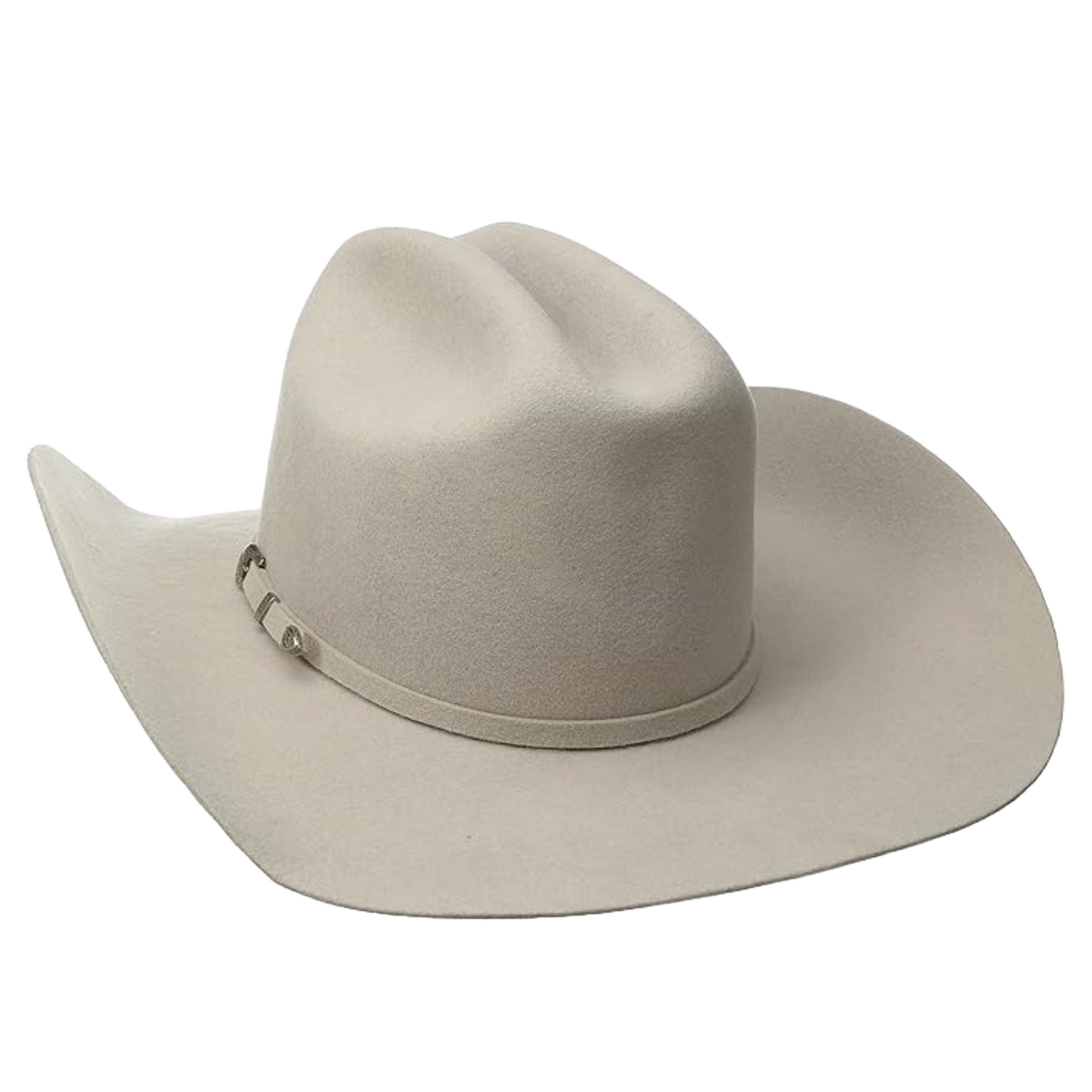 Twister 2X Wool Silver Belly Western Hat T75250277
