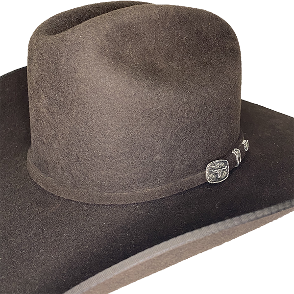 Resistol Longhorn Chocolate Brown Felt Cowboy Hat RWLGHNB684222