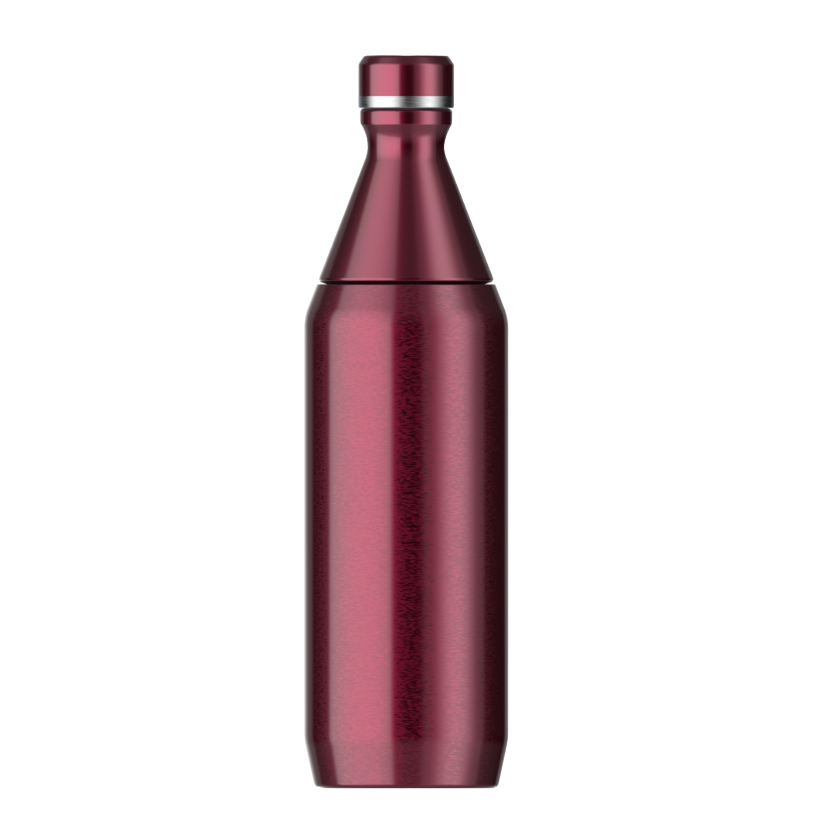 Stanley The All Day Garnet Shine Slim 20 oz Bottle 10-12069-450