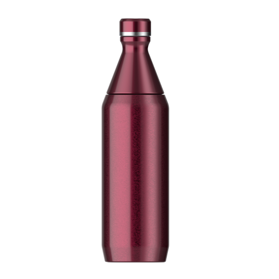 Stanley The All Day Garnet Shine Slim 20 oz Bottle 10-12069-450