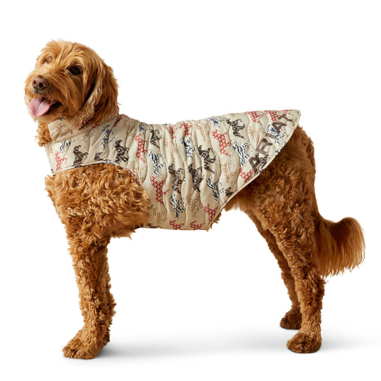 Ariat ACC Painted Ponies Graphic Dog Puffer Jacket 10063143