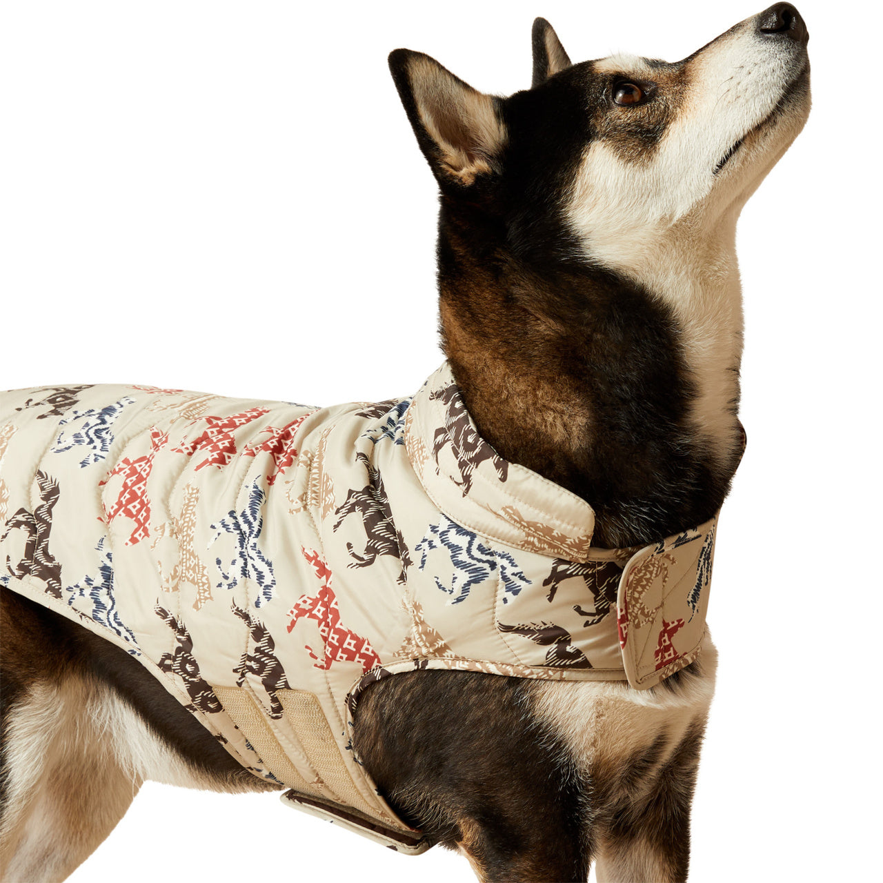 Ariat ACC Painted Ponies Graphic Dog Puffer Jacket 10063143