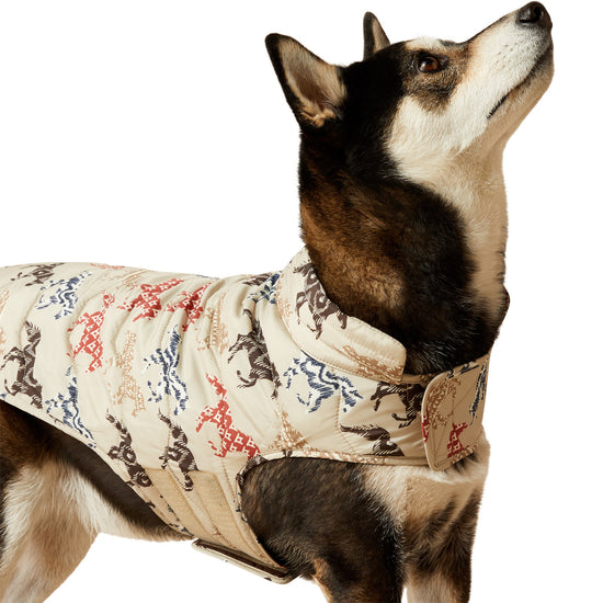 Ariat ACC Painted Ponies Graphic Dog Puffer Jacket 10063143