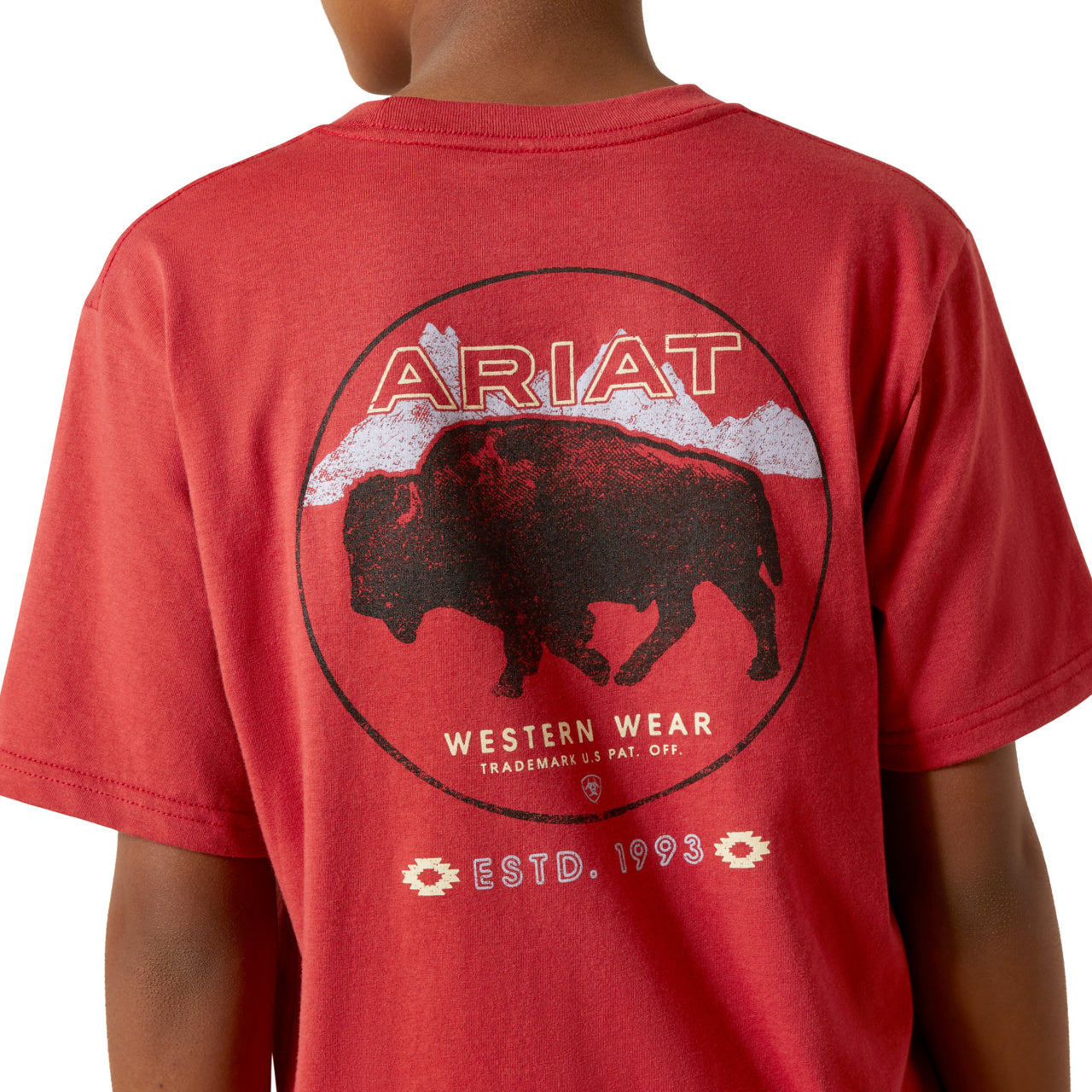 Ariat Youth Boy's Patriot Buffalo Coin Brick Red T-Shirt 10062407