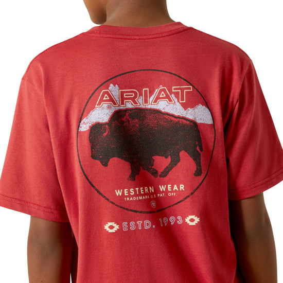 Ariat Youth Boy's Patriot Buffalo Coin Brick Red T-Shirt 10062407