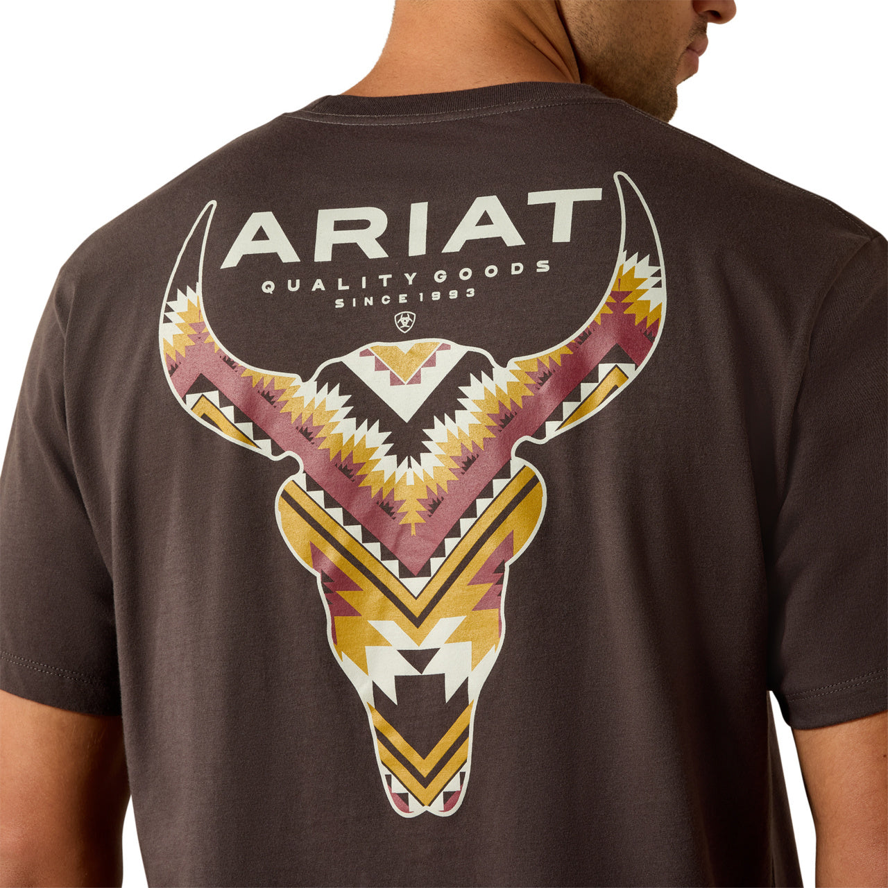 Ariat Men's Southwest Longest Horn Vintage Black T-Shirt 10071198