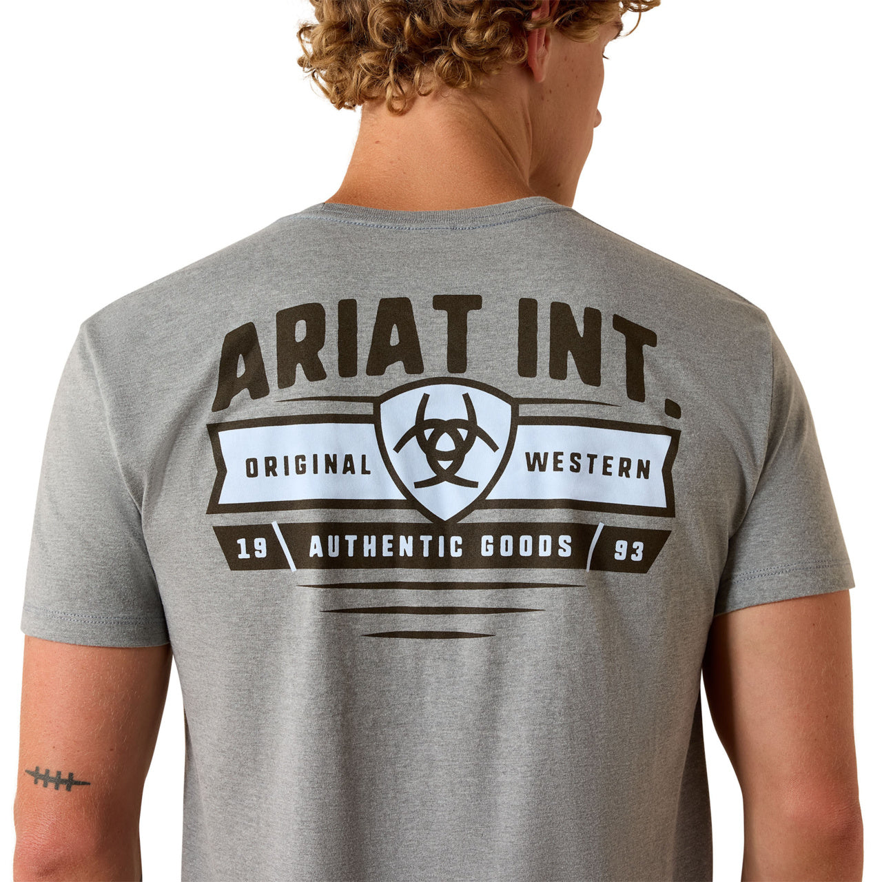 Ariat Men's Banner Badge Graphic Ice Berg T-Shirt 10073955