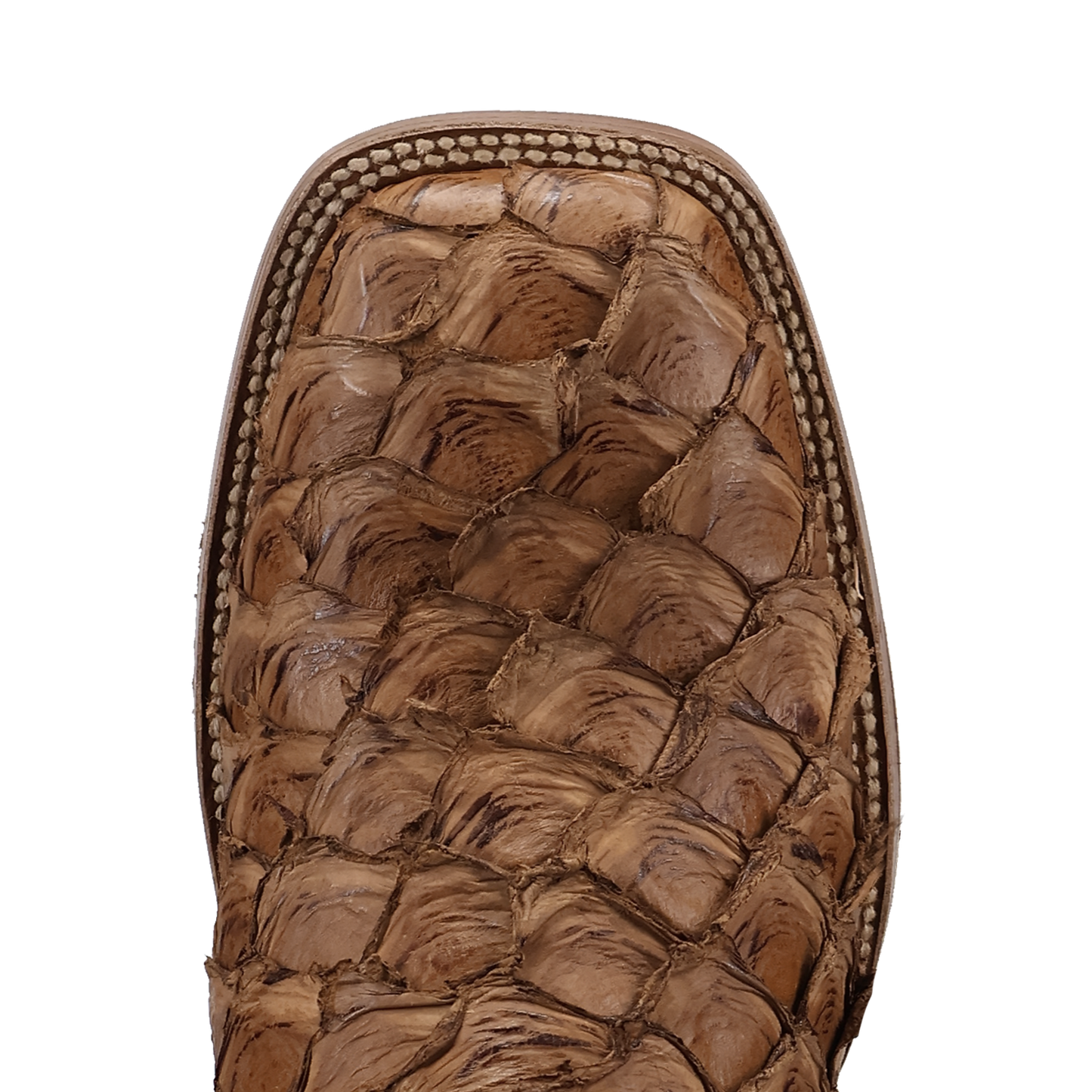 Dan Post Men's Marc Pirarucu Tan & Chocolate Western Boot DP5270