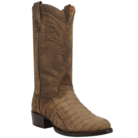 Dan Post Men's Makara Caiman Brown Western Boots DP7036