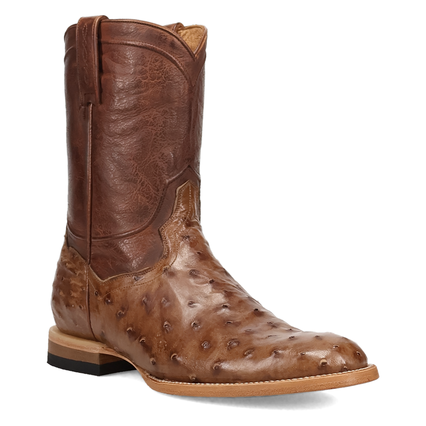 Dan Post Men's Ardor Tobaco Brown Full Quill Ostrich Western Boot DP7134