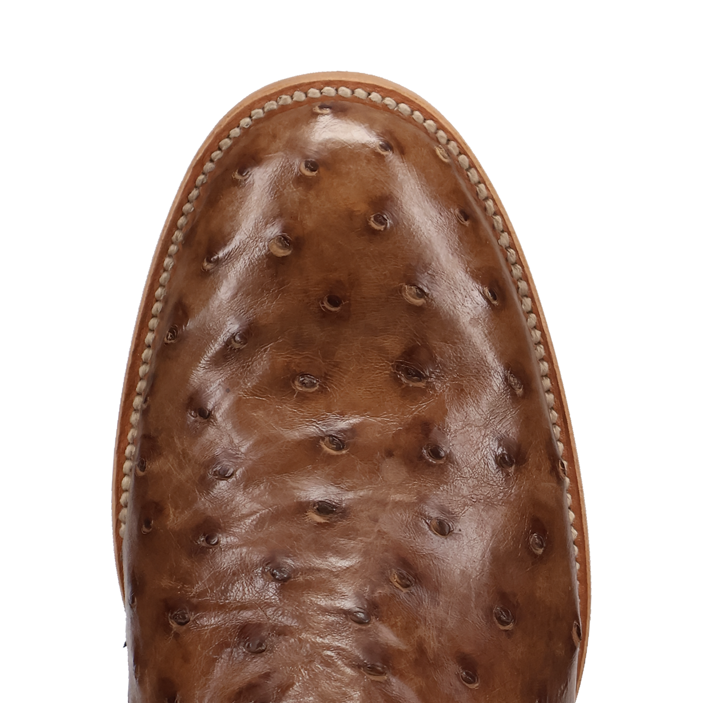 Dan Post Men's Ardor Tobaco Brown Full Quill Ostrich Western Boot DP7134