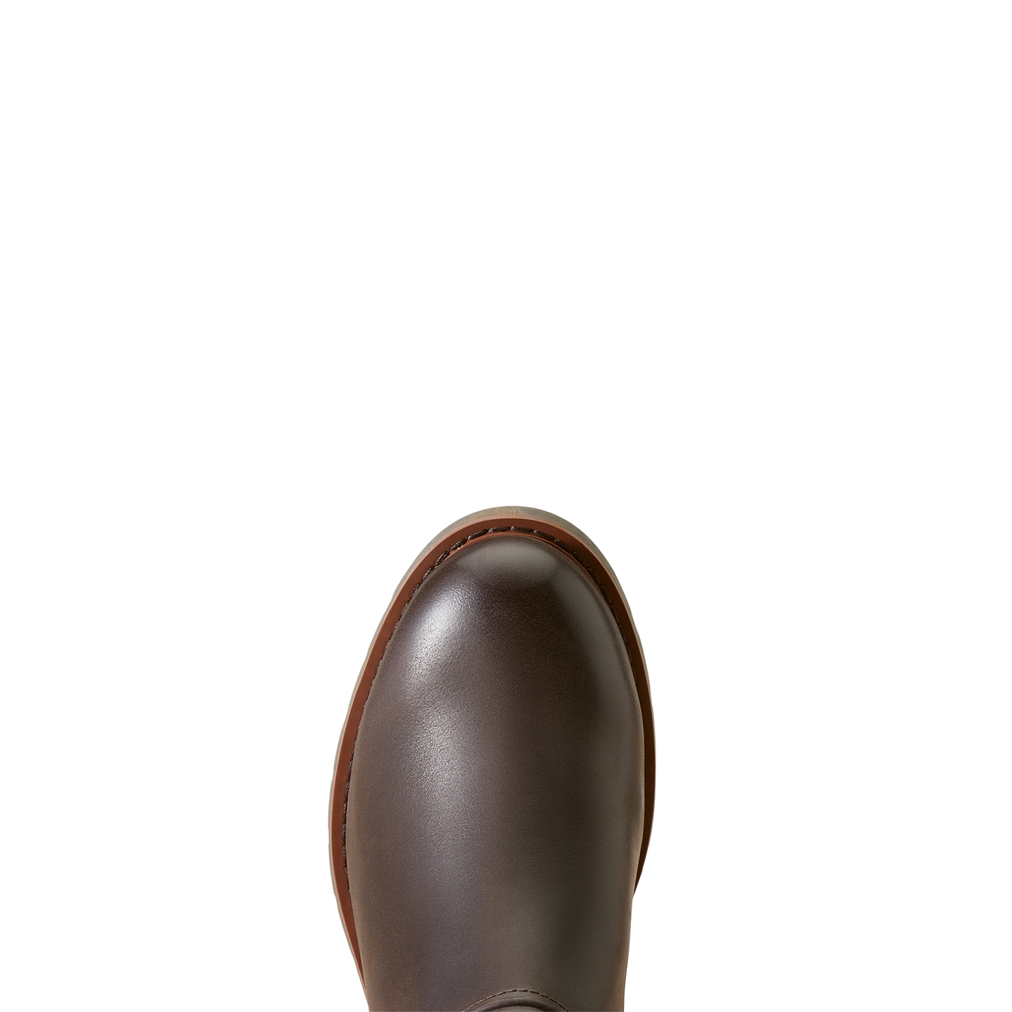 Ariat Ladies Scarlet Waterproof Mocha English Boots 10047041