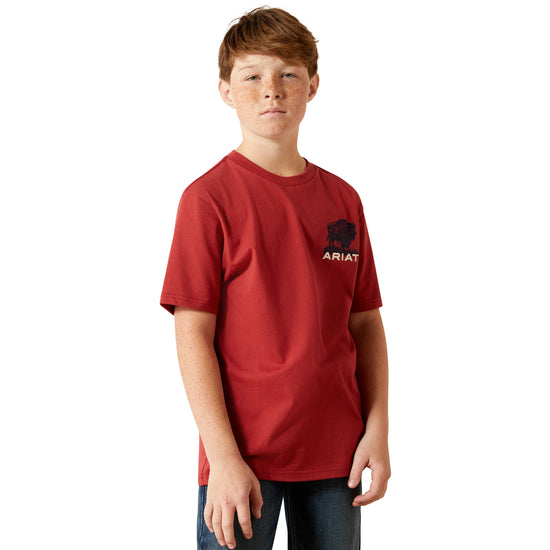 Ariat Youth Boy's Buffalo Flag Graphic Brick Red T-Shirt 10065979