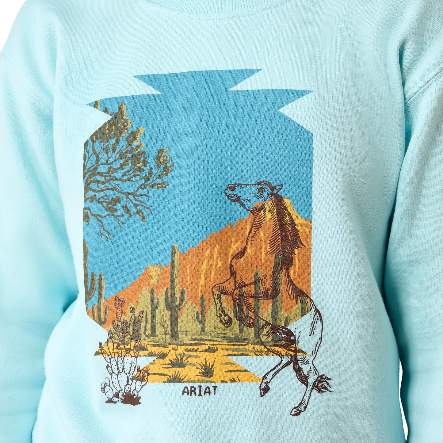 Ariat Youth Girl's Stallion Aquaesque Crew Sweatshirt 10079545