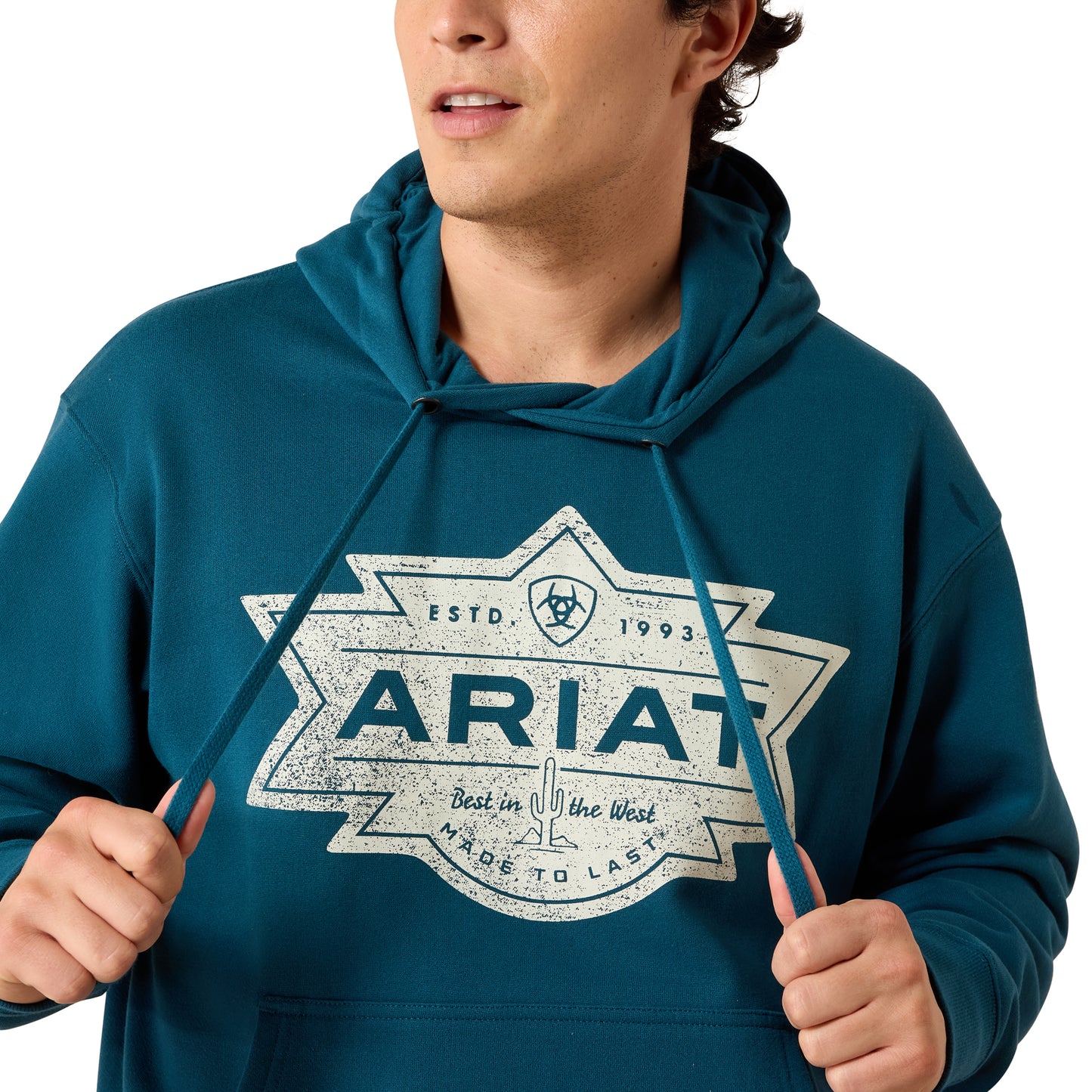 Ariat Men's Legion Blue Mesa Motif Hoodie 10079368
