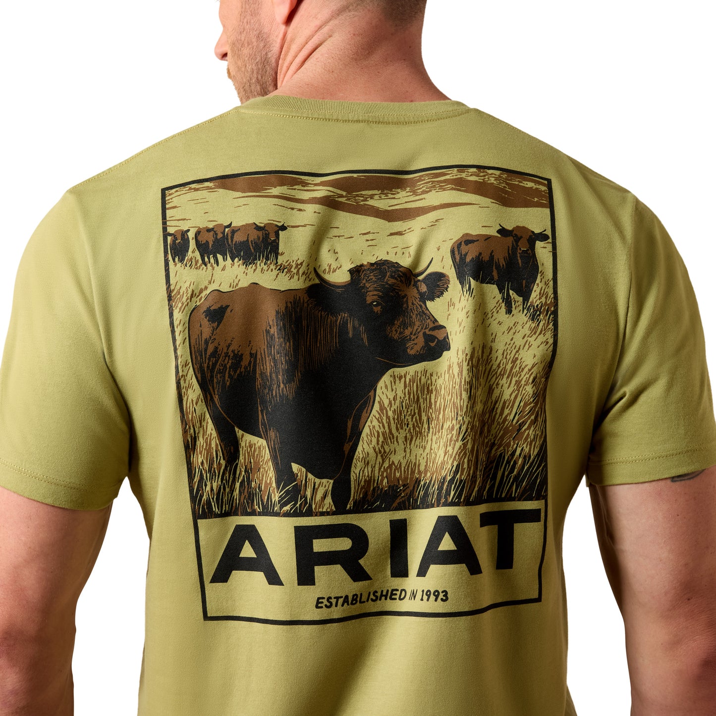 Ariat Men's Grazers Graphic Tent Green T-Shirt 10079399