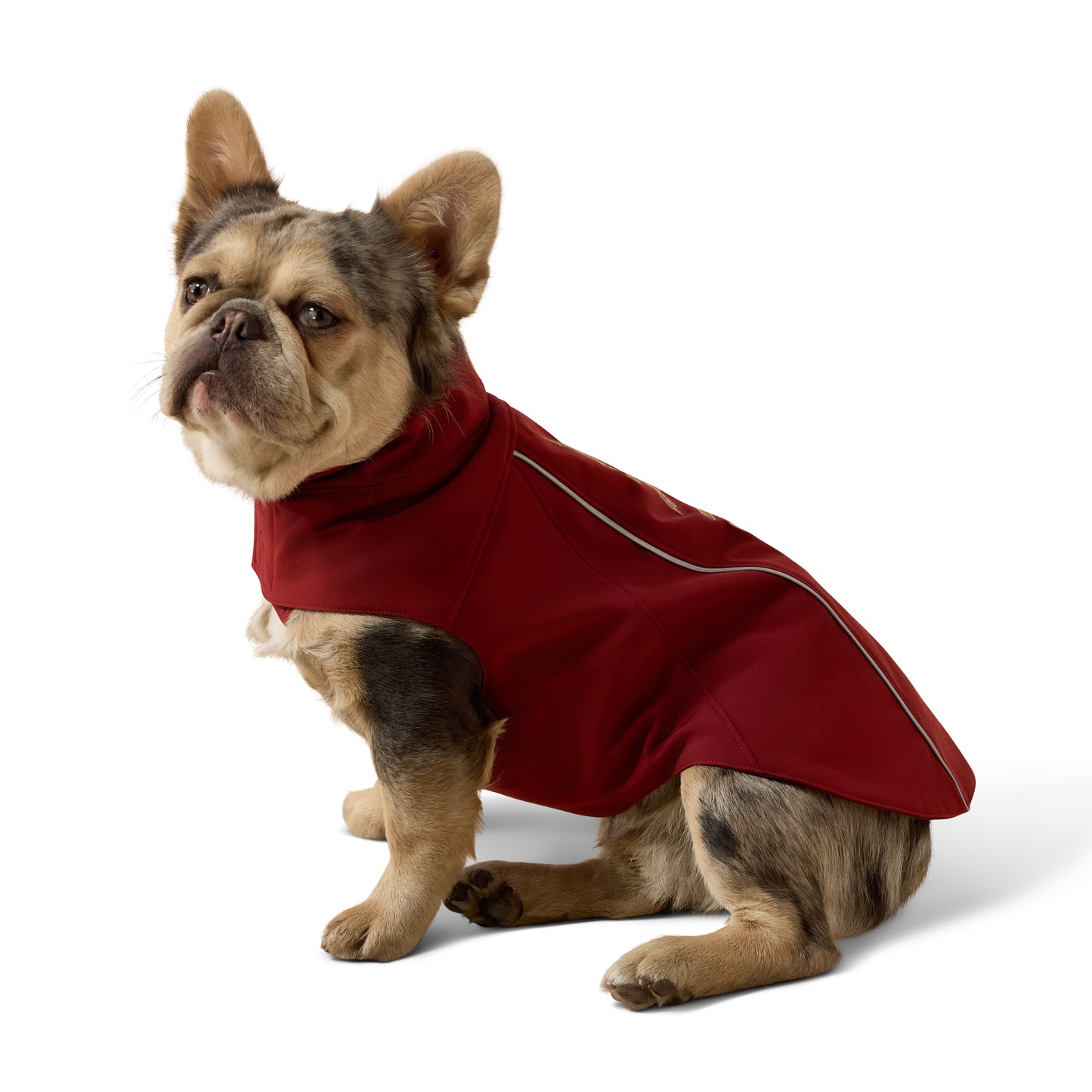 Ariat ACC Team Syrah Leopard Softshell Dog Jacket 10079890