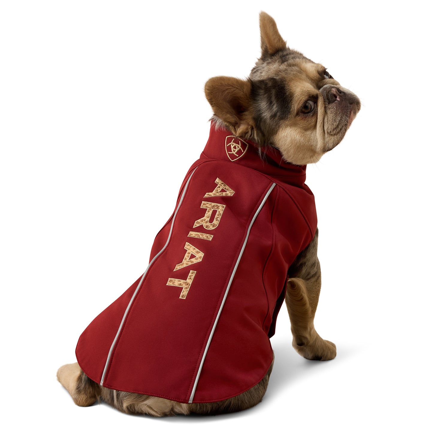 Ariat ACC Team Syrah Leopard Softshell Dog Jacket 10079890