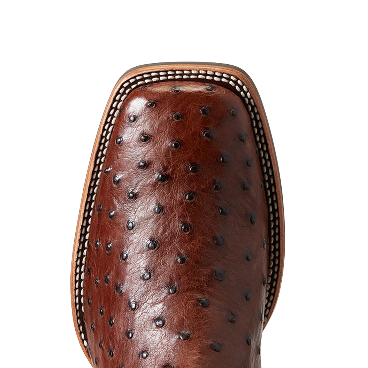 Ariat Men's Quantum Primo Full Quill  Square Toe Boots 10040304