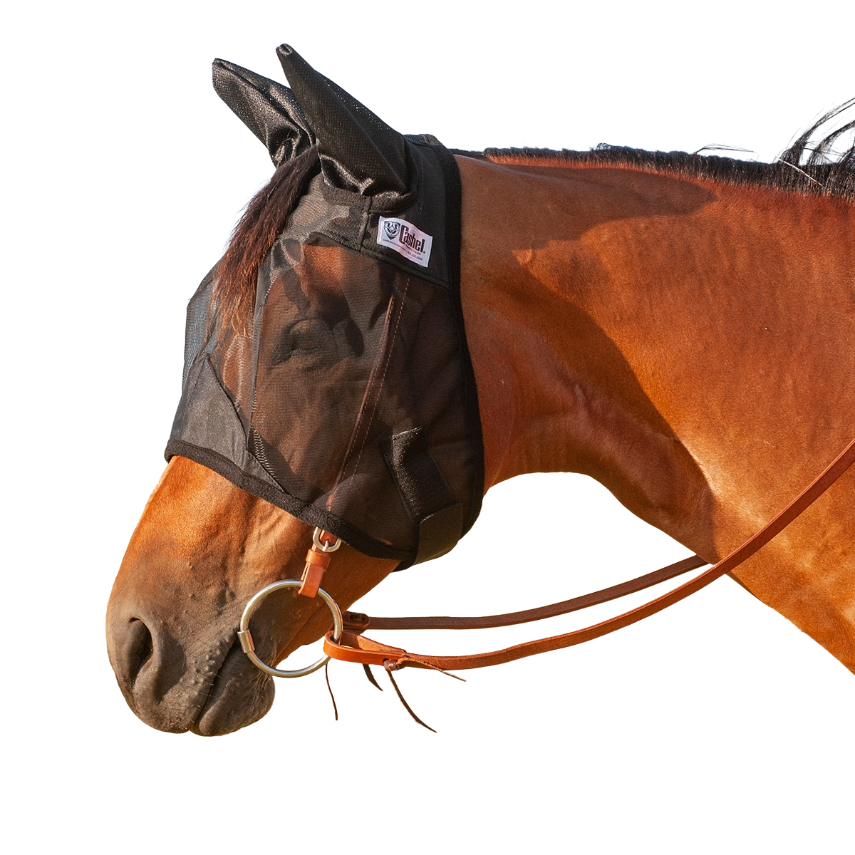 Cashel Quiet Ride Fly Mask Standard with Ears Horse