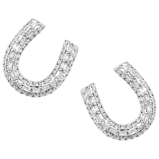 Montana Silversmiths Frosted Luck Crystal Earrings ER5967