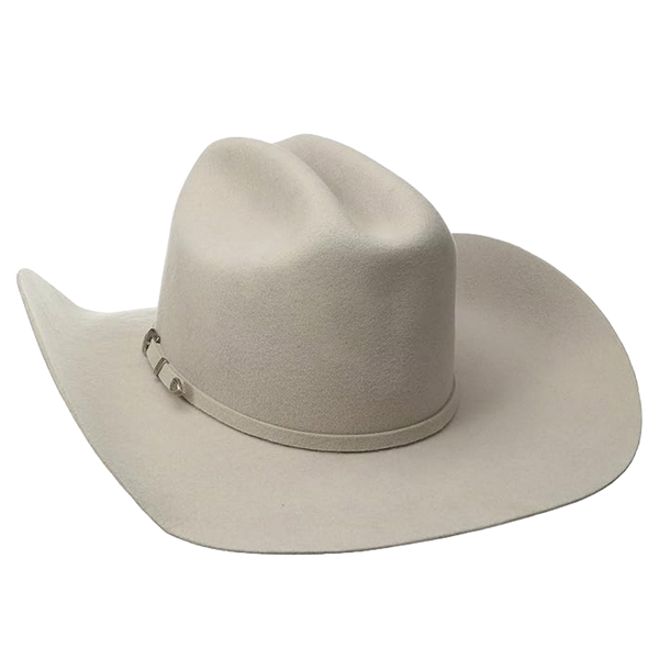 Twister 2X Wool Silver Belly Western Hat T75250277