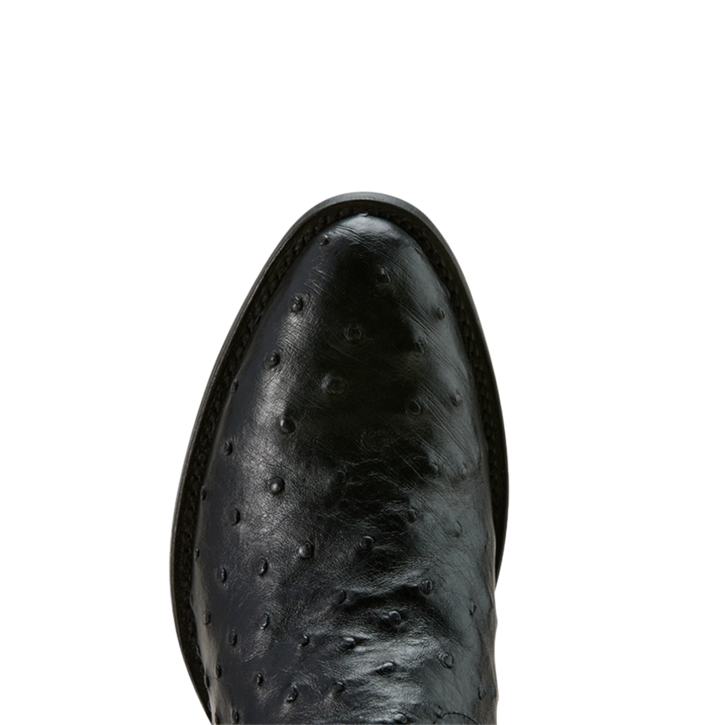 Ariat Men's Vesper Black Full Quill Ostrich Cowboy Boot 10058160