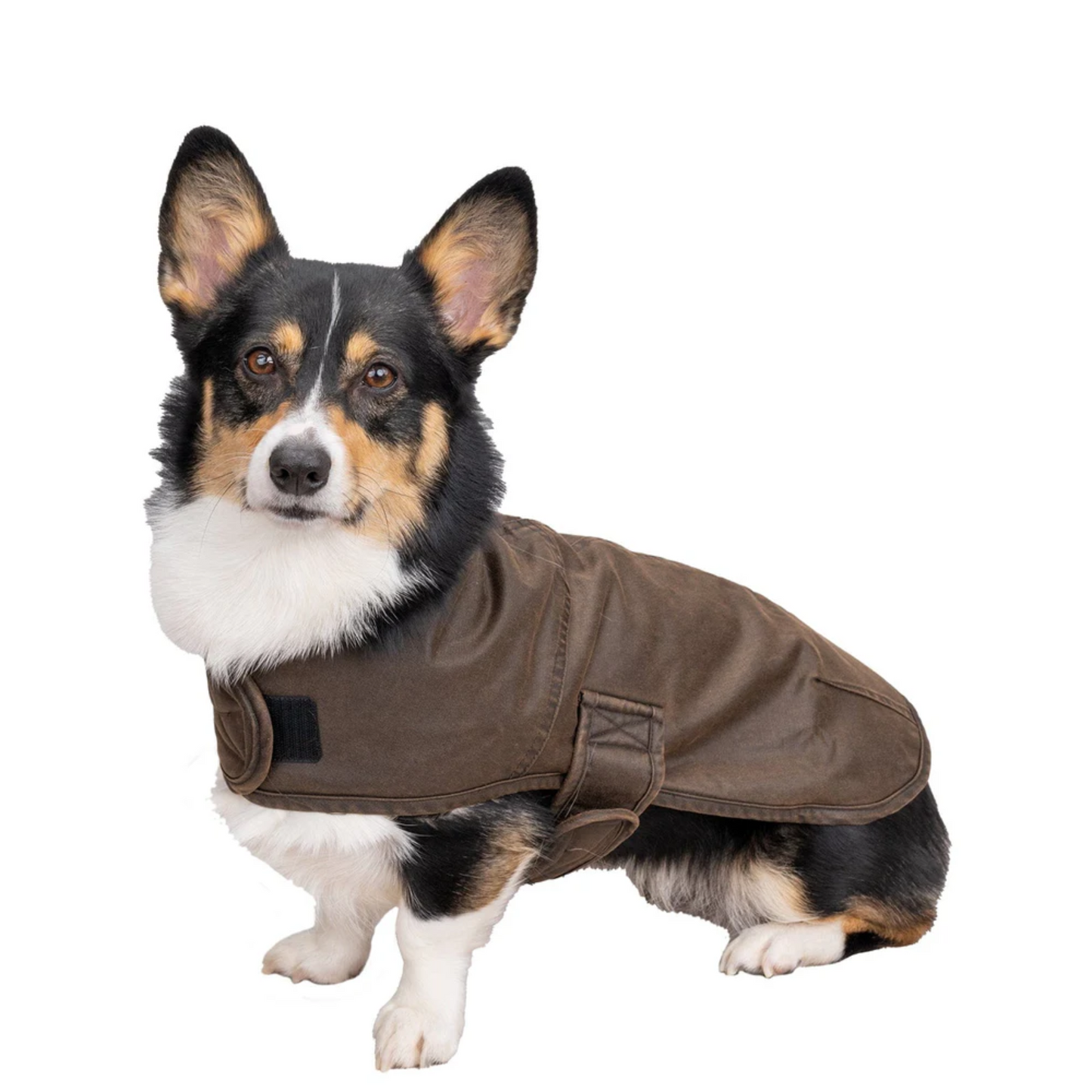 Outback Trading Company Marty Canine Brown Coat 2893-BRN