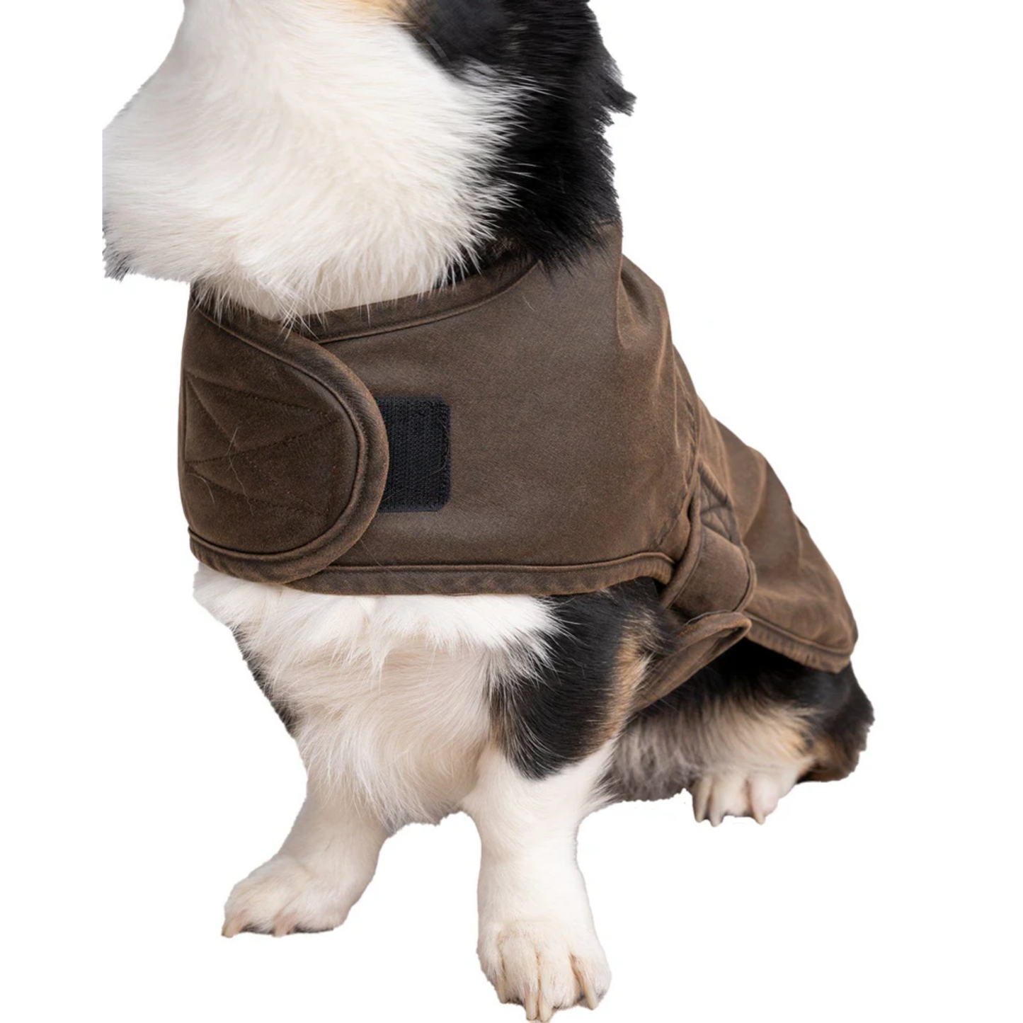 Outback Trading Company Marty Canine Brown Coat 2893-BRN