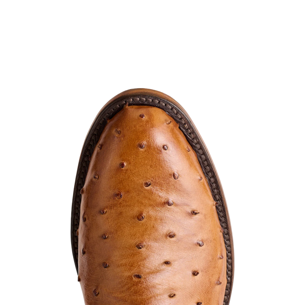 Lucchese Men's Zane Barnwood Brown & Tan Ostrich Western Boot N3036