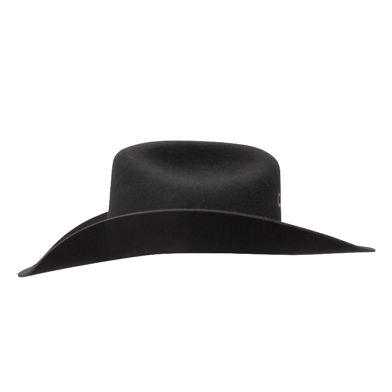 Charlie 1 Horse Ladies The Cowgirl Black Wool Western Hat CWCWHT-724207