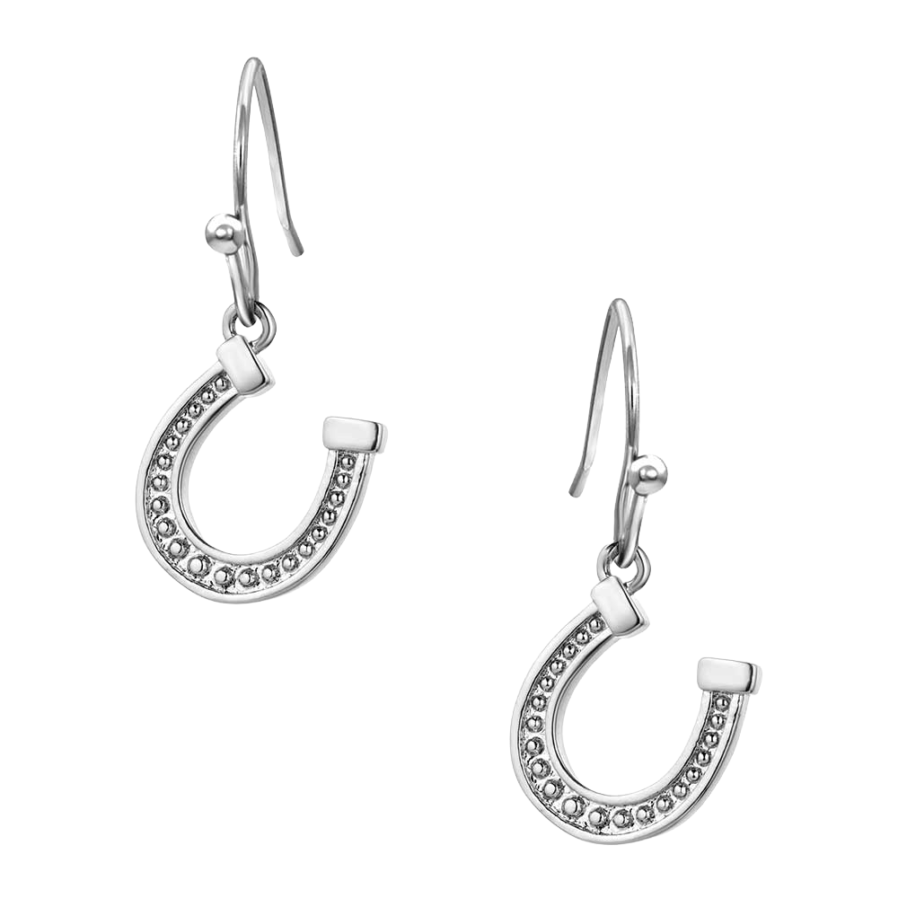 Montana Silversmith Ladies Dainty Horseshoe Silver Earrings ER5941