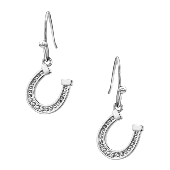 Montana Silversmith Ladies Dainty Horseshoe Silver Earrings ER5941