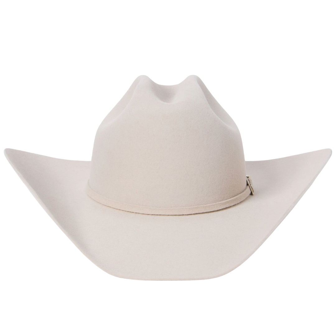 Stetson Skyline 6X USA 250 Edition Silverbelly Felt Western Hat SFS250-754261