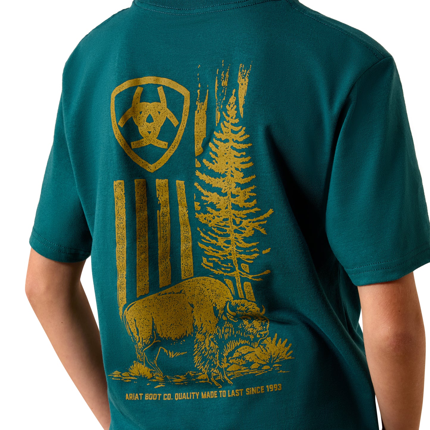 Ariat Youth Boy's Mediterranean Blue Bison Wander Flag T-Shirt 10073453