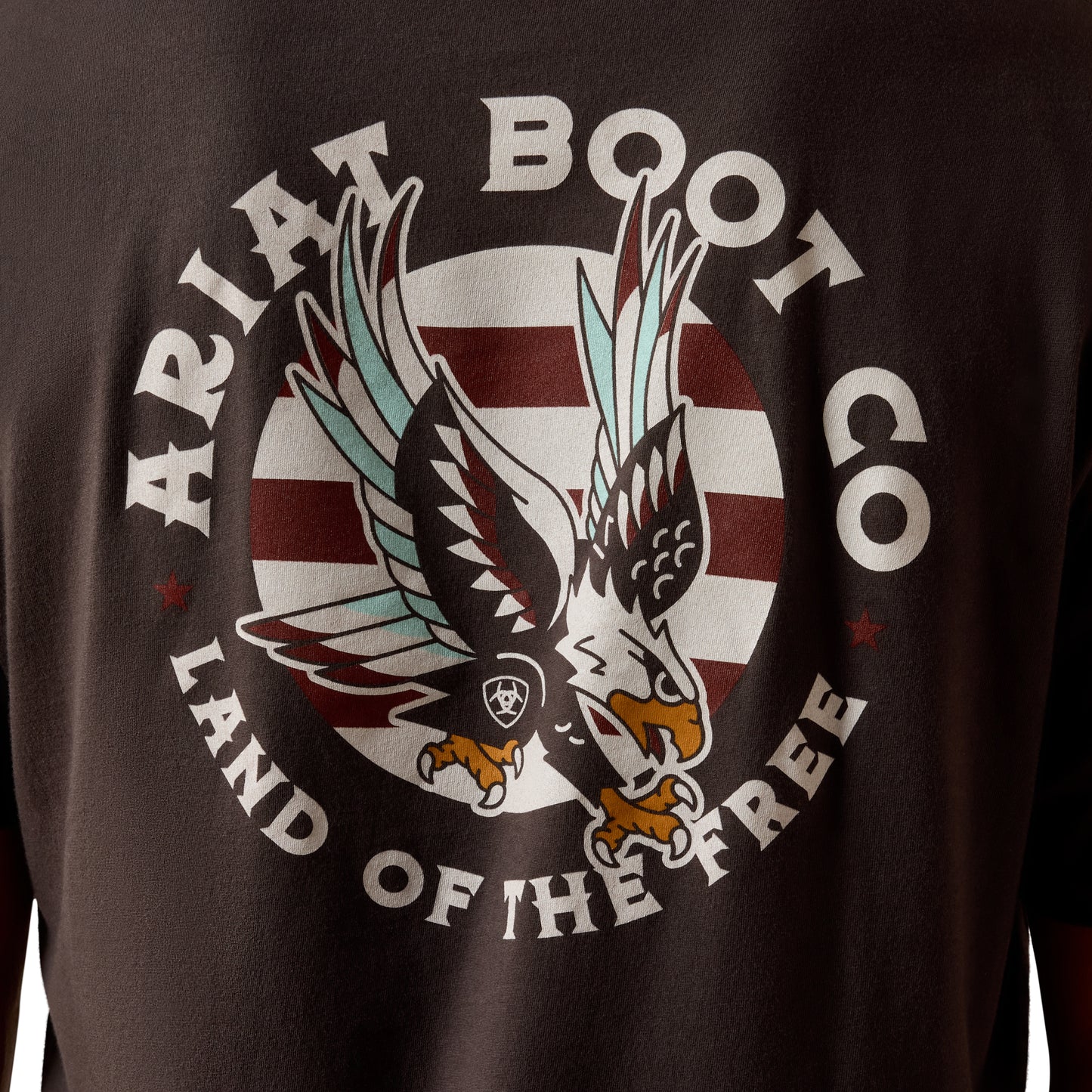 Ariat Men's Traditional Eagle Land of the Free Vintage Black T-Shirt 10073413