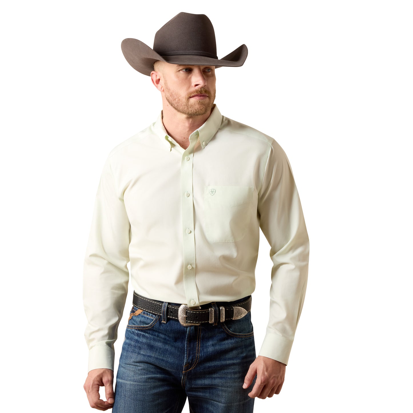 Ariat Men's Wrinkle Free Solid Laurel Green Fitted Shirt 10073500