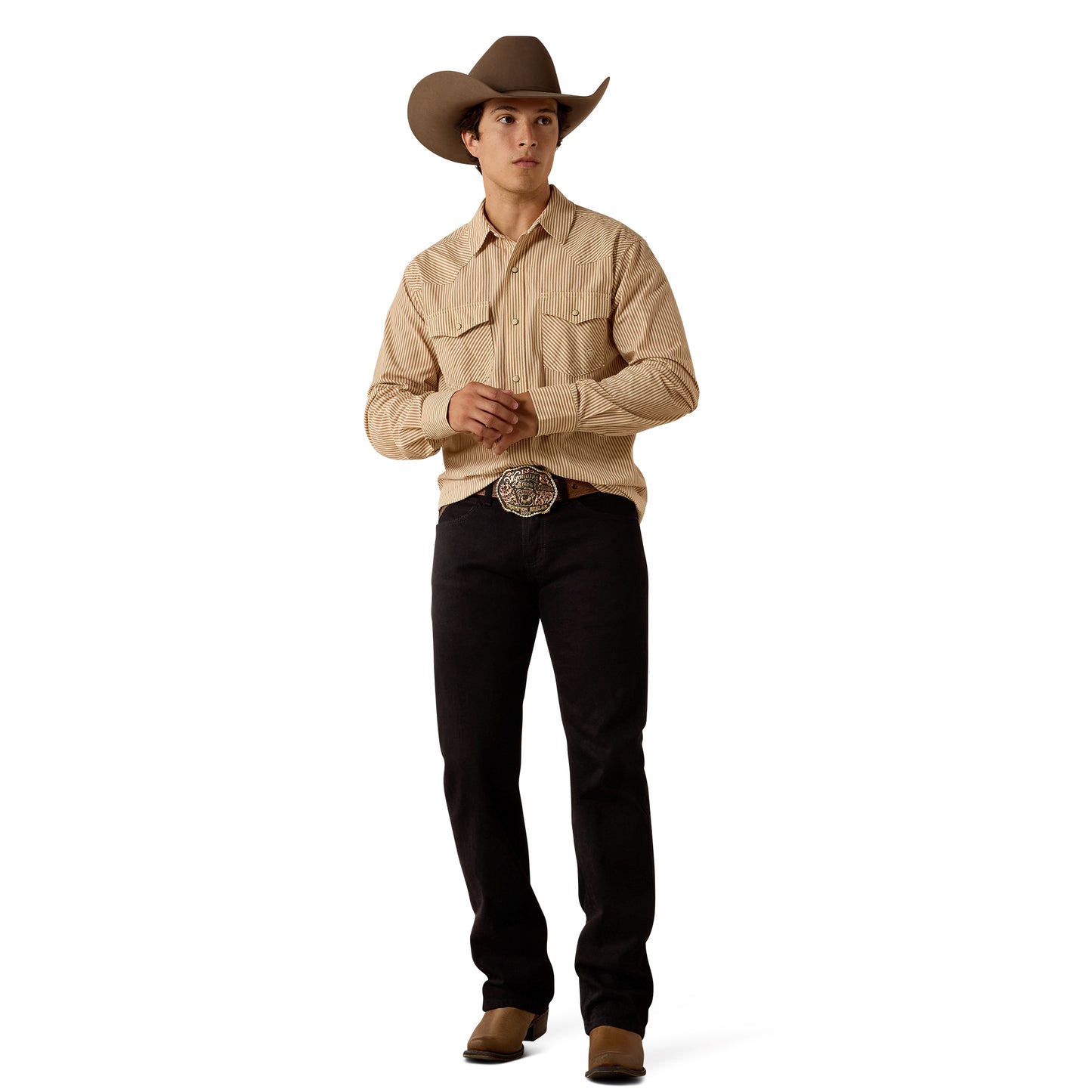 Ariat Men's Retro Hyman Taupe Grey Stripe Fitted Snap Shirt 10073581