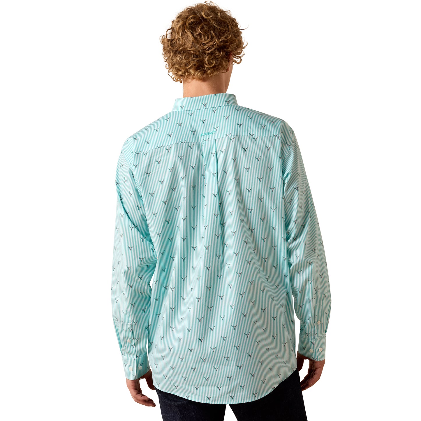 Ariat Men's Wrinkle Free Wilkes Blue Turquoise Steer Head Stripe Classic Fit Shirt 10073687