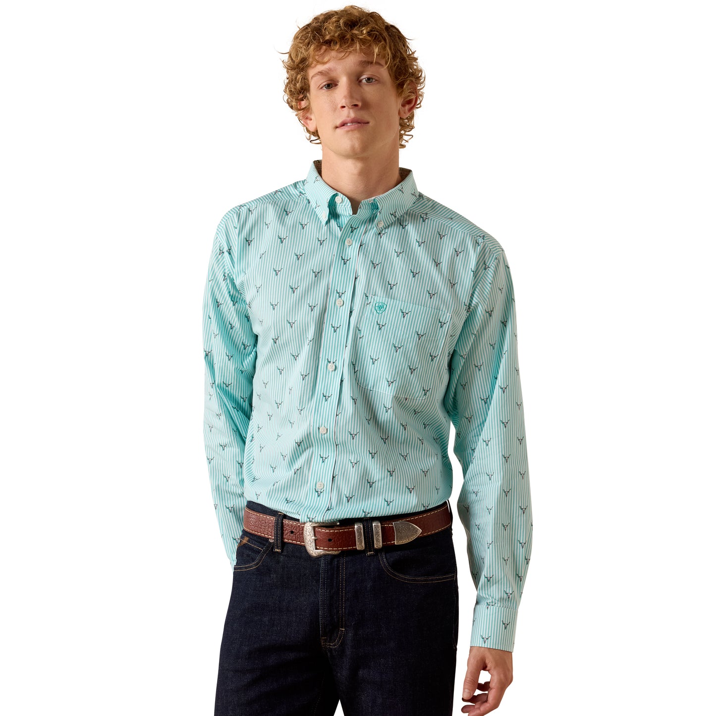 Ariat Men's Wrinkle Free Wilkes Blue Turquoise Steer Head Stripe Classic Fit Shirt 10073687