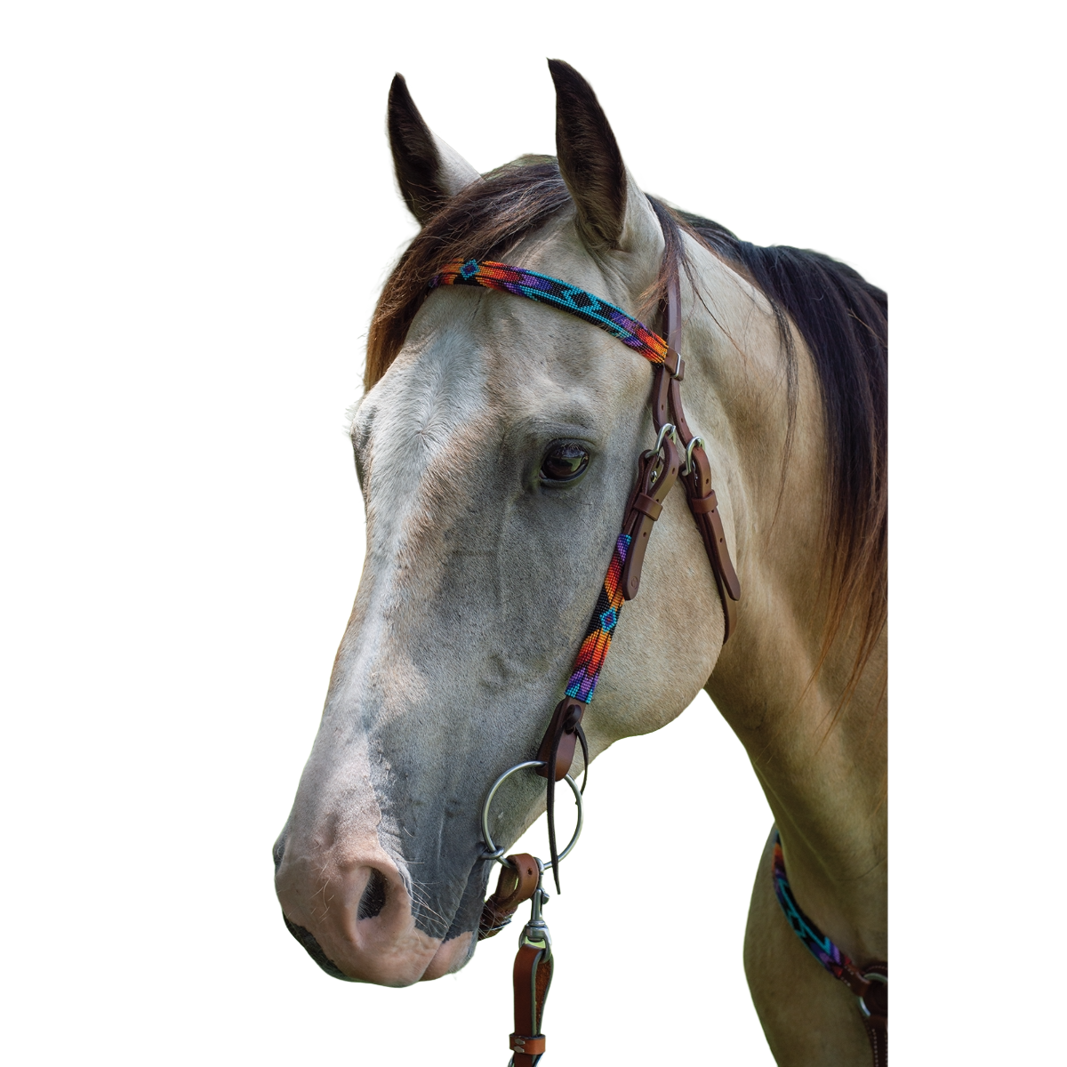 Circle Y Infinity Wrap Browband Headstall Sunset