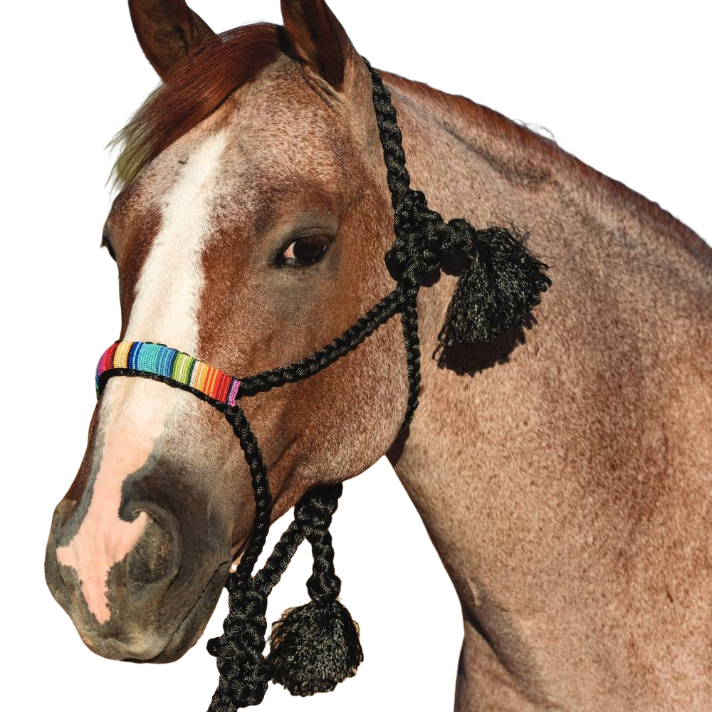 Load image into Gallery viewer, Professional&amp;#39;s Choice Cowboy Braided Halter with 10&amp;#39; Lead Black/Serape

