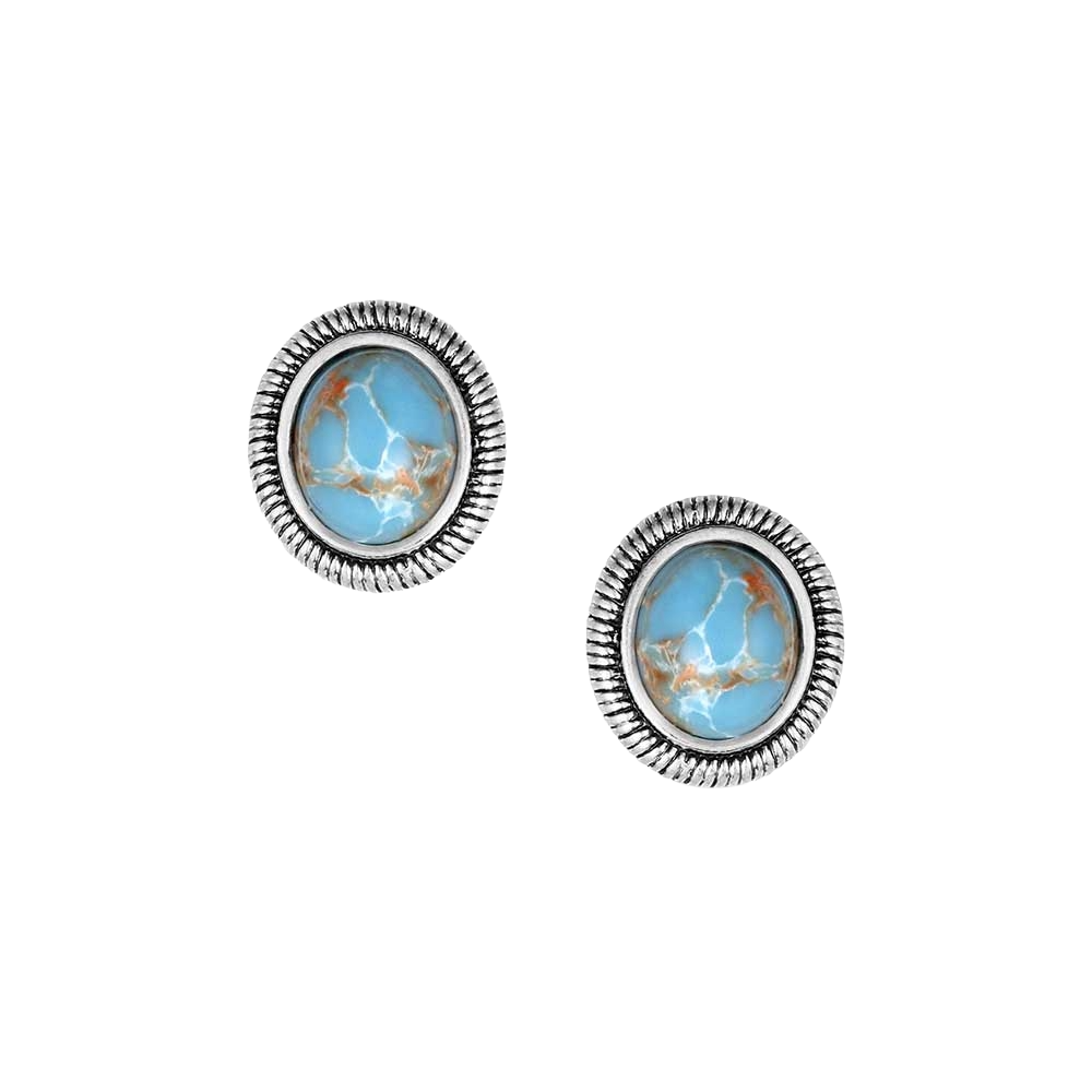 Montana Silversmiths Silver Denim Nights Earrings ER6316