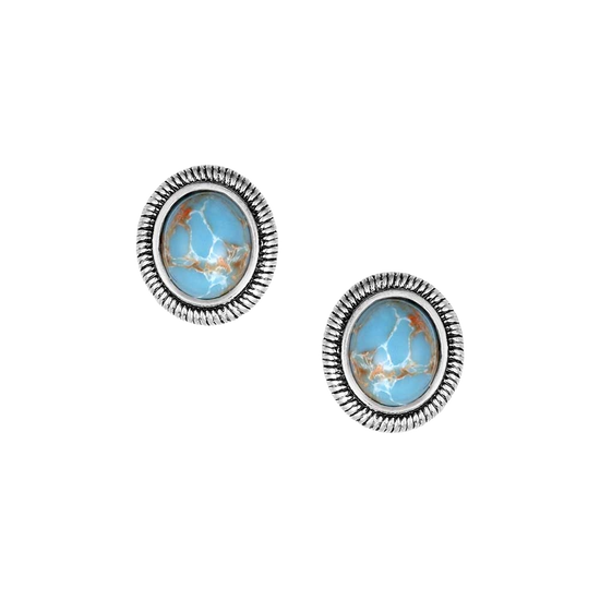 Montana Silversmiths Silver Denim Nights Earrings ER6316