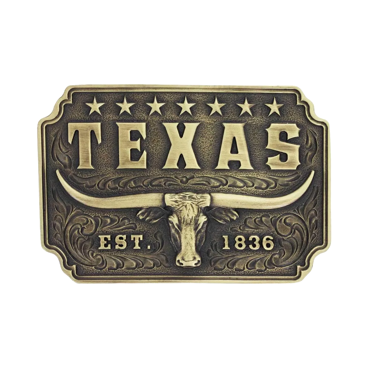 Montana Silversmiths Classic Texas Longhorn Bronze Buckle A843