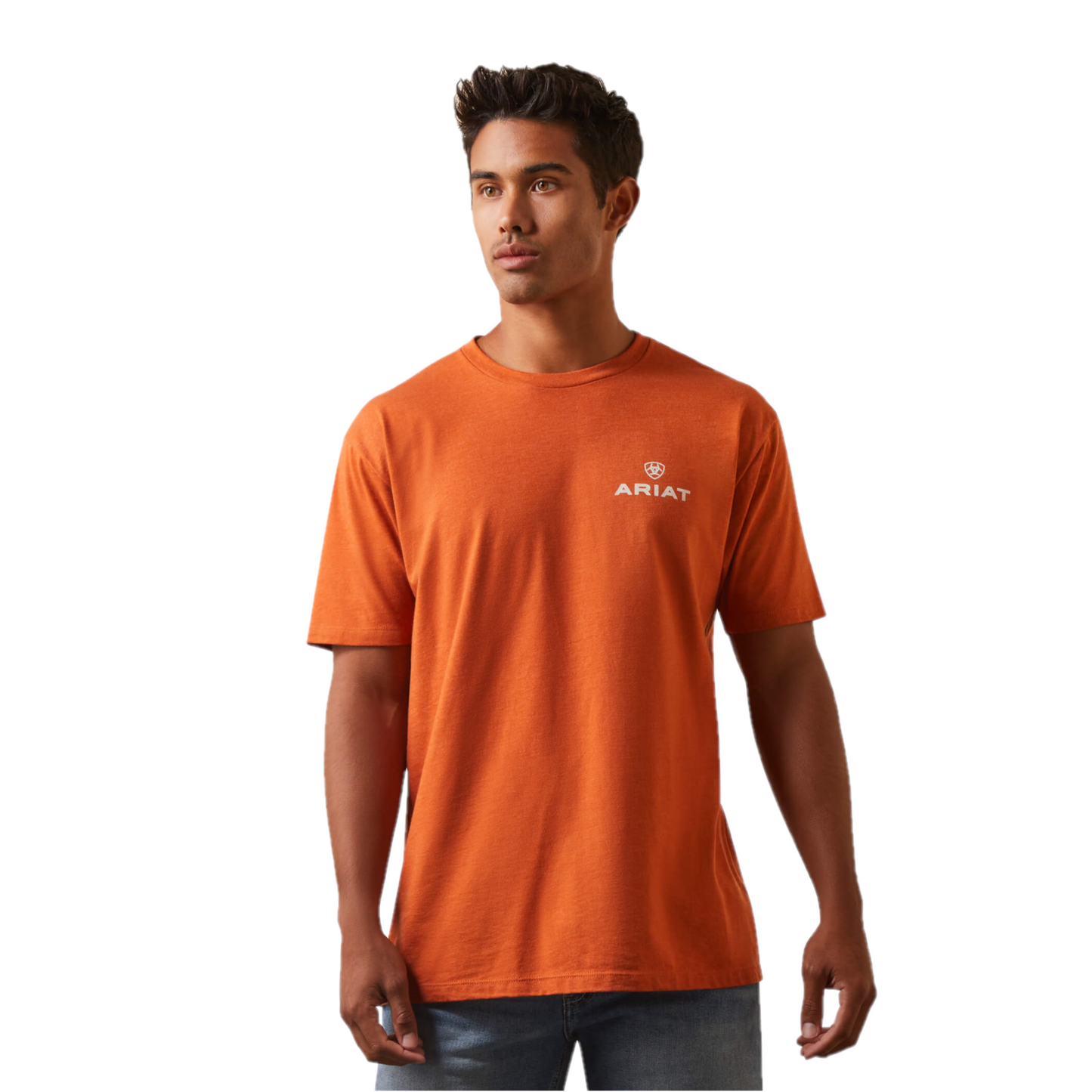 Ariat® Men's Old Faithful Adobe Heather Graphic T-Shirt 10044784