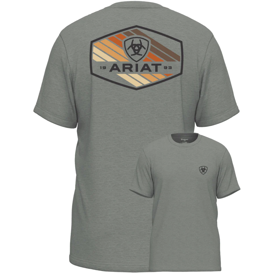 Ariat Men's Retro Hex Stripe Desert Sage Heather T-Shirt 10047654