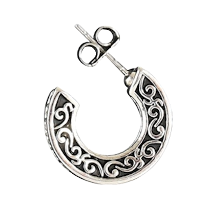 Western 2025 silver earrings