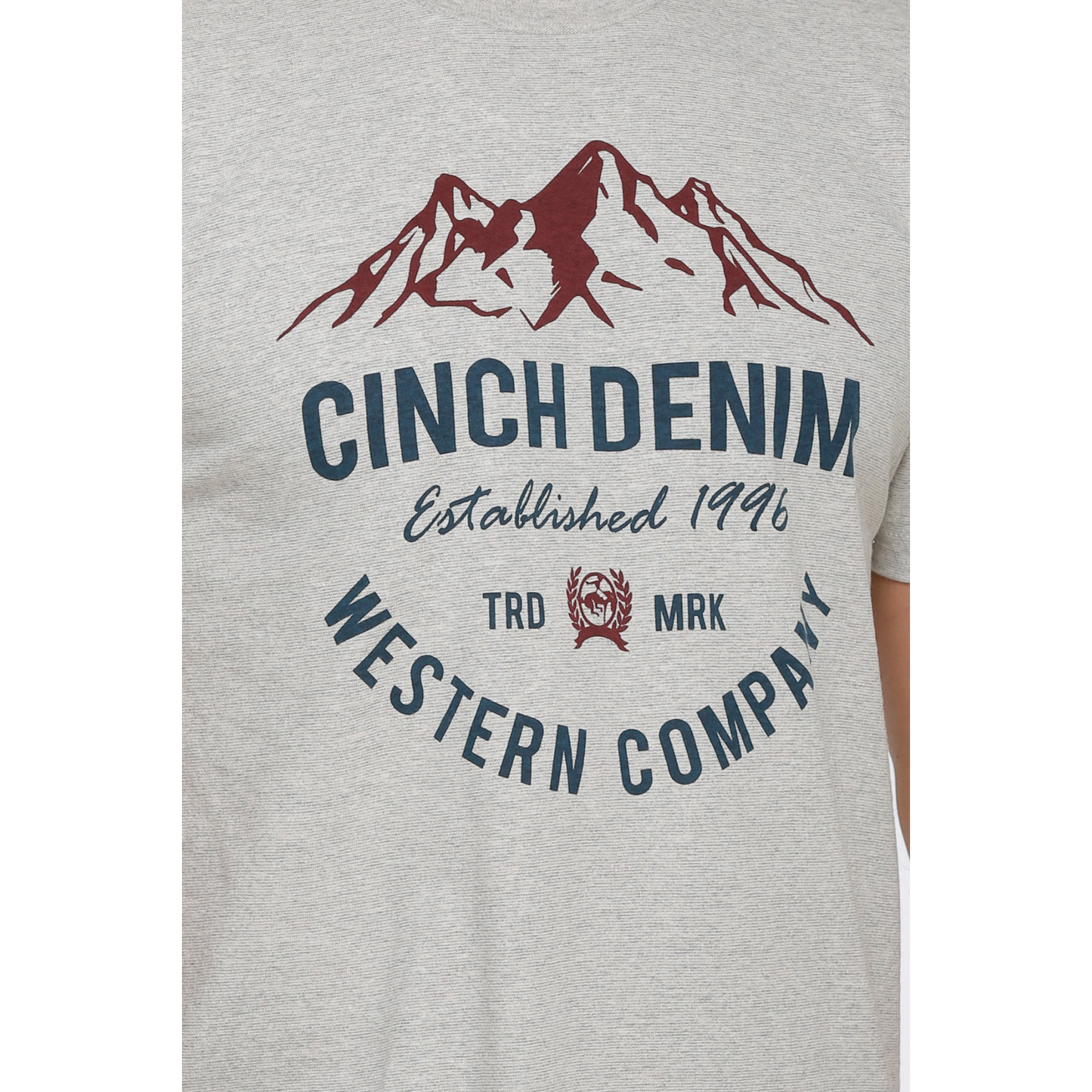 Cinch Men's Heather Grey Mountain Graphic T-Shirt MTT1690485
