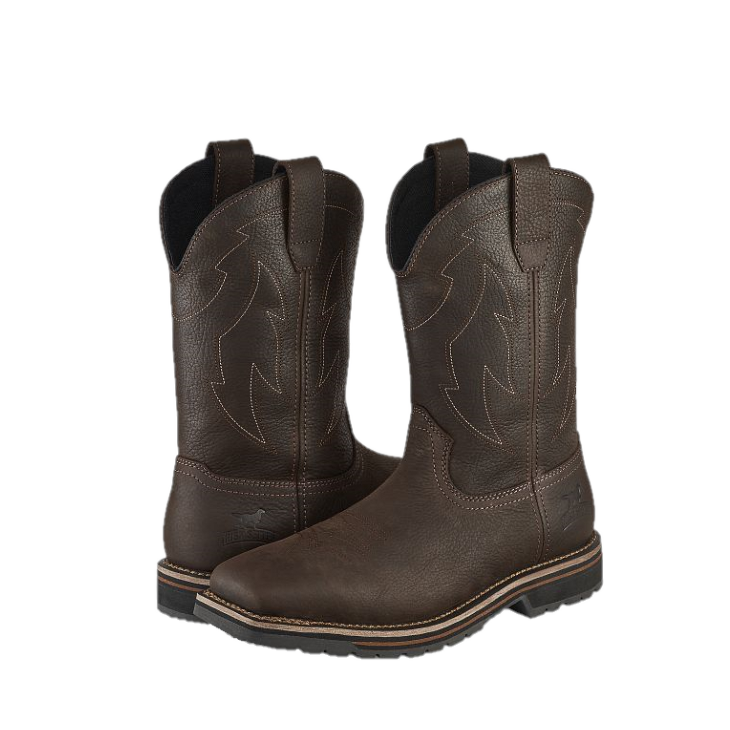 Irish 2025 setter 839